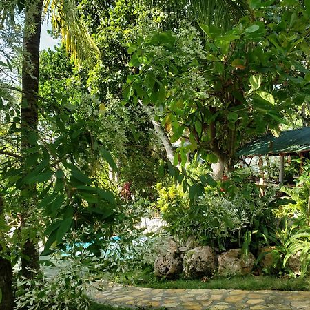 Zapote Tree Inn Флорес Екстериор снимка