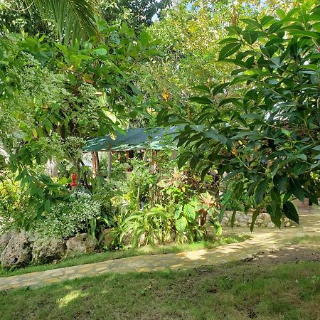 Zapote Tree Inn Флорес Екстериор снимка
