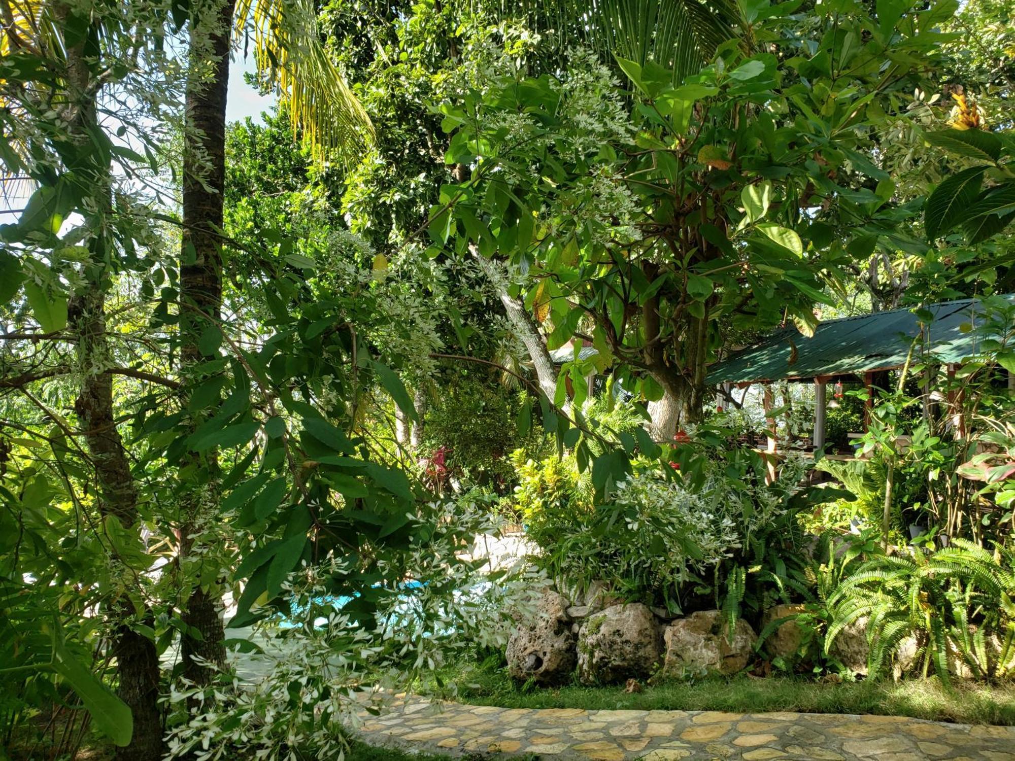 Zapote Tree Inn Флорес Екстериор снимка
