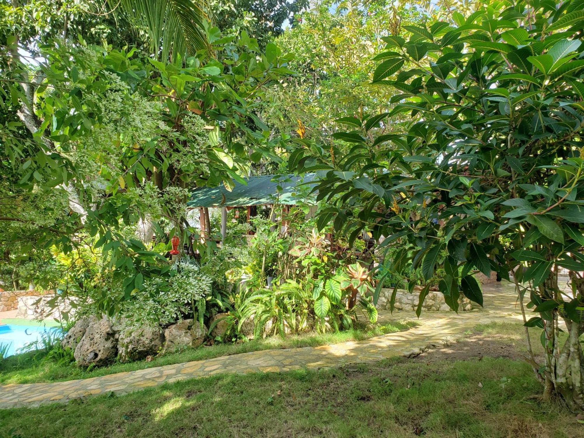 Zapote Tree Inn Флорес Екстериор снимка