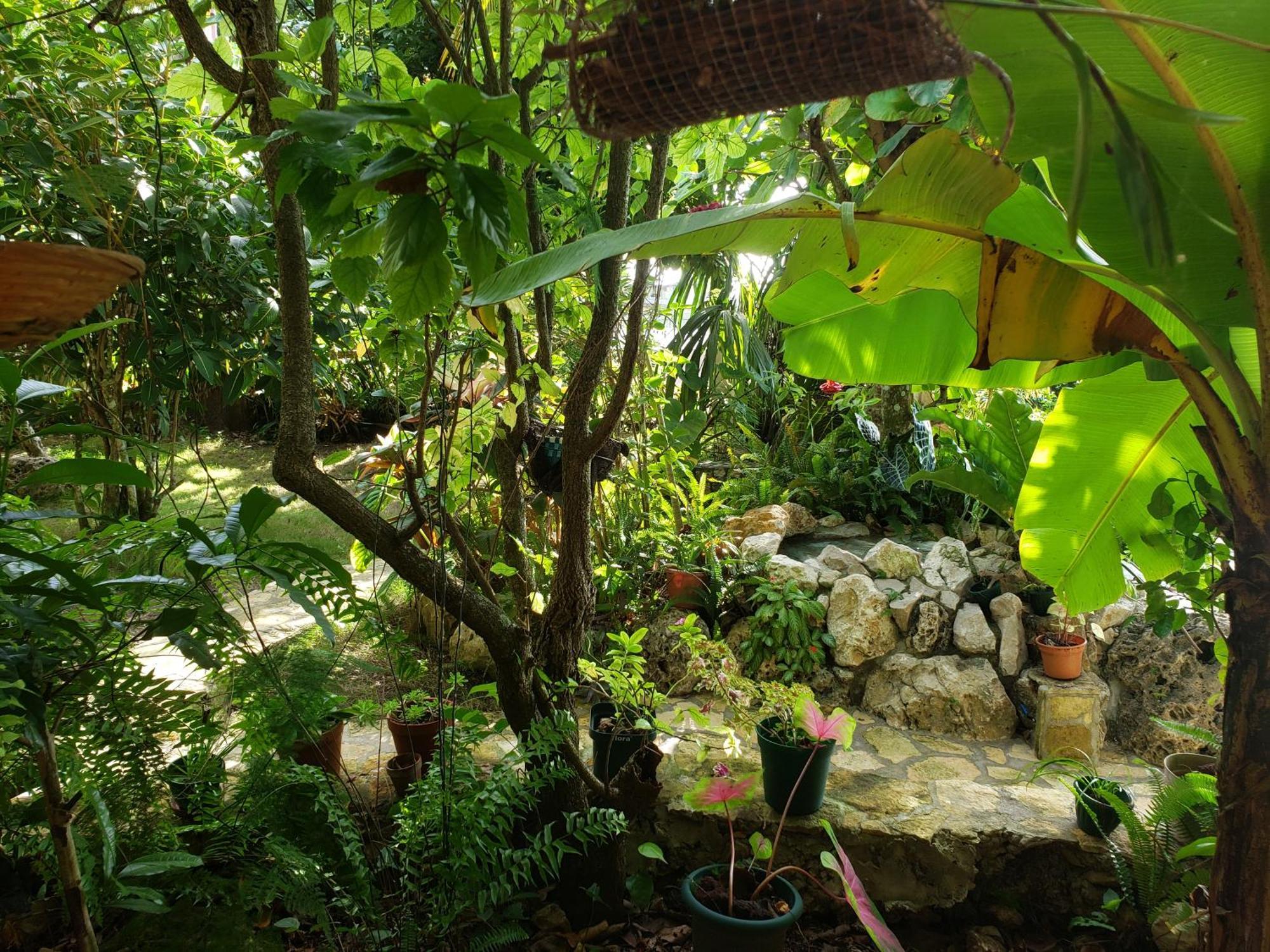 Zapote Tree Inn Флорес Екстериор снимка