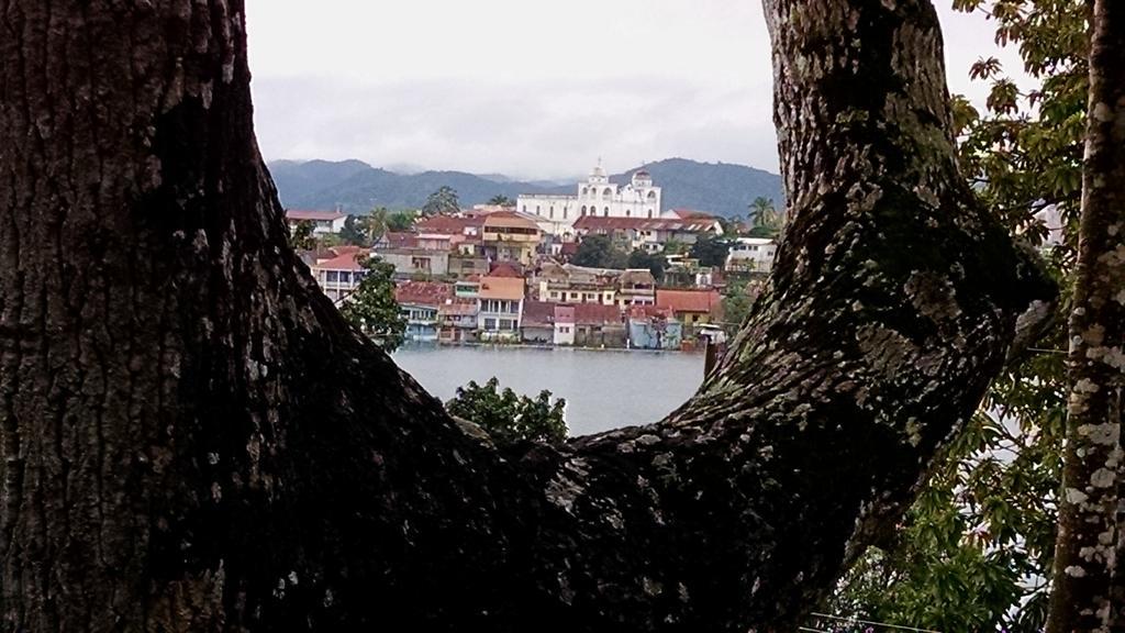 Zapote Tree Inn Флорес Екстериор снимка