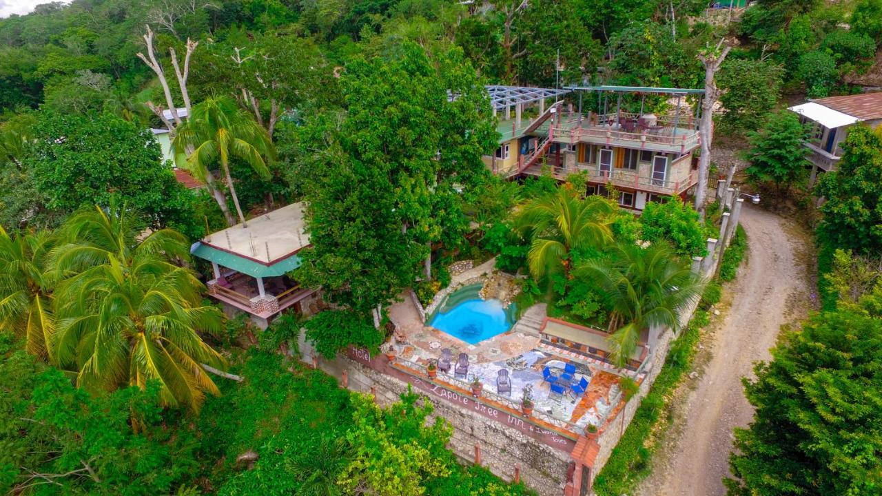 Zapote Tree Inn Флорес Екстериор снимка